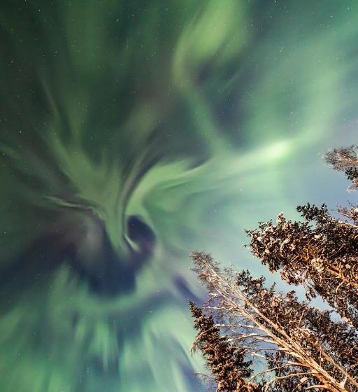 리조트 Old Pine Husky Lodge