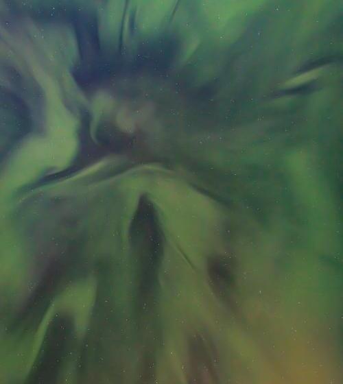 리조트 Old Pine Husky Lodge