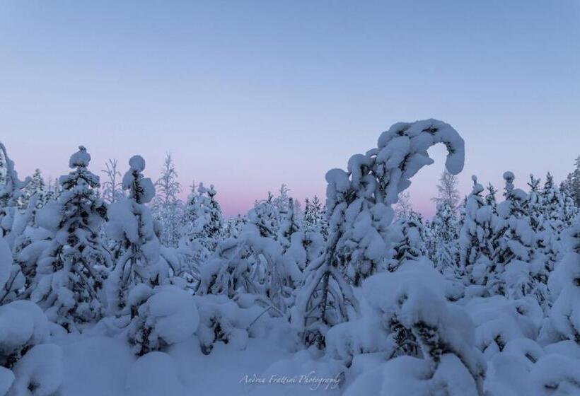 리조트 Old Pine Husky Lodge
