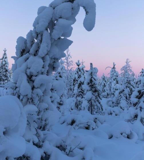 리조트 Old Pine Husky Lodge