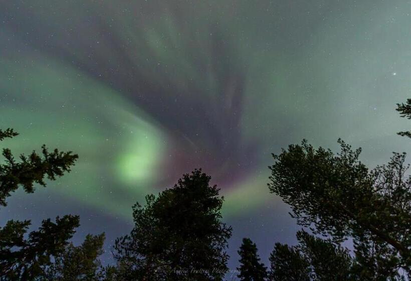 리조트 Old Pine Husky Lodge