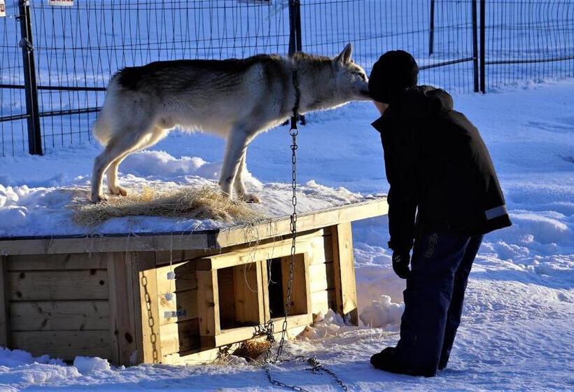 리조트 Old Pine Husky Lodge