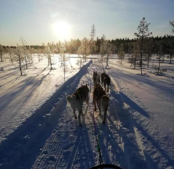 리조트 Old Pine Husky Lodge