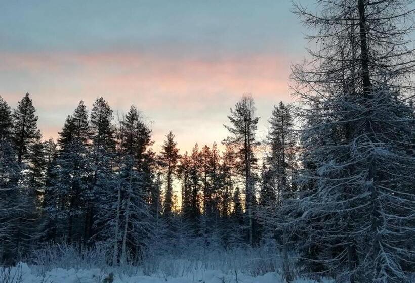 리조트 Old Pine Husky Lodge