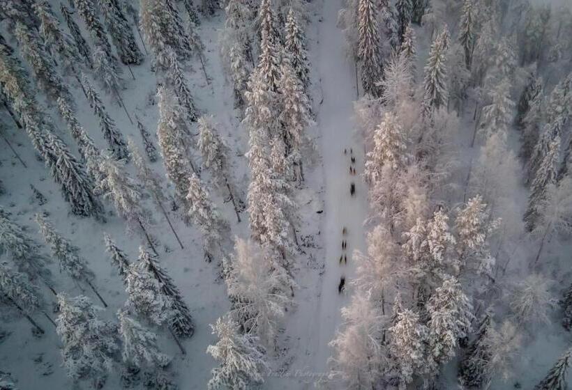 리조트 Old Pine Husky Lodge