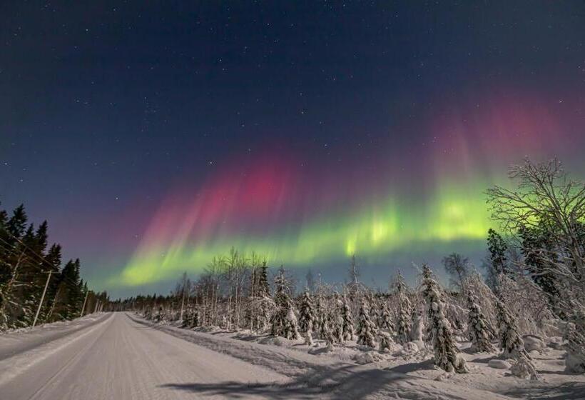 리조트 Old Pine Husky Lodge