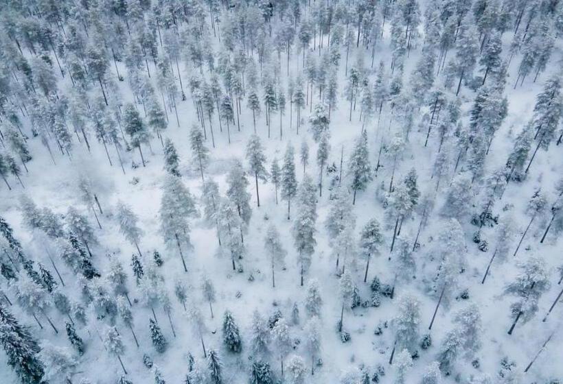 리조트 Old Pine Husky Lodge