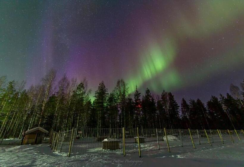 리조트 Old Pine Husky Lodge