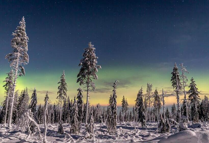 리조트 Old Pine Husky Lodge