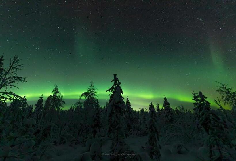 리조트 Old Pine Husky Lodge