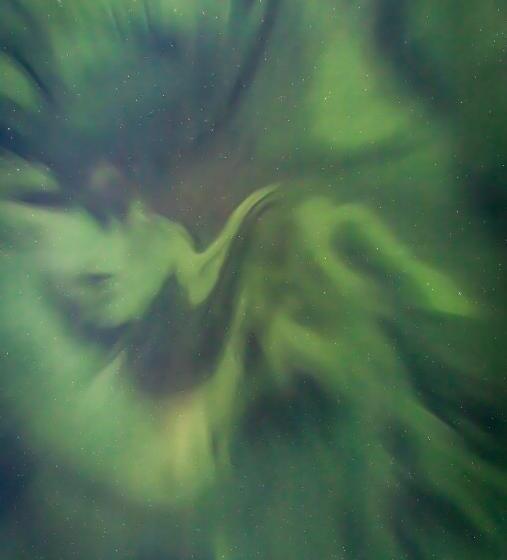 리조트 Old Pine Husky Lodge