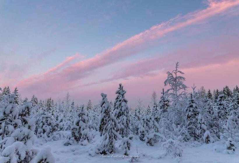 리조트 Old Pine Husky Lodge