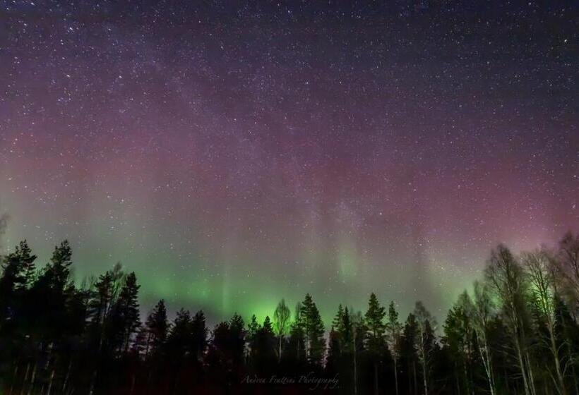 리조트 Old Pine Husky Lodge