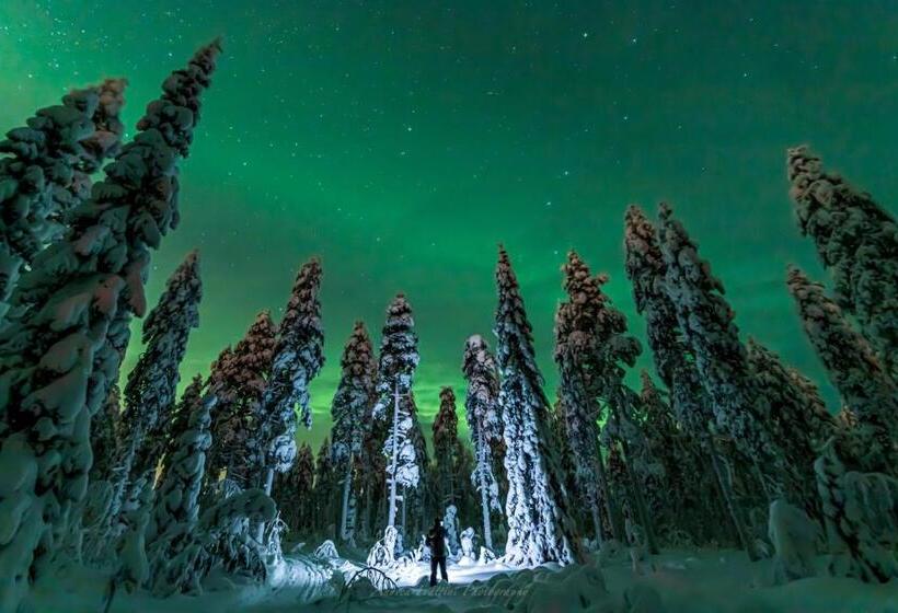 리조트 Old Pine Husky Lodge