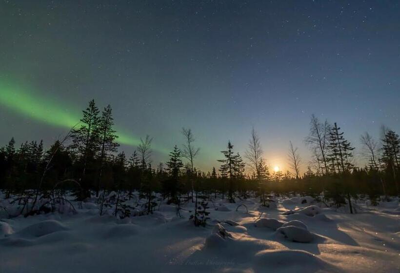 리조트 Old Pine Husky Lodge