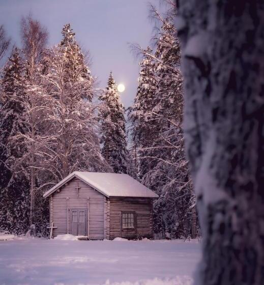 استراحتگاه Old Pine Husky Lodge