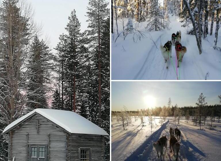 리조트 Old Pine Husky Lodge