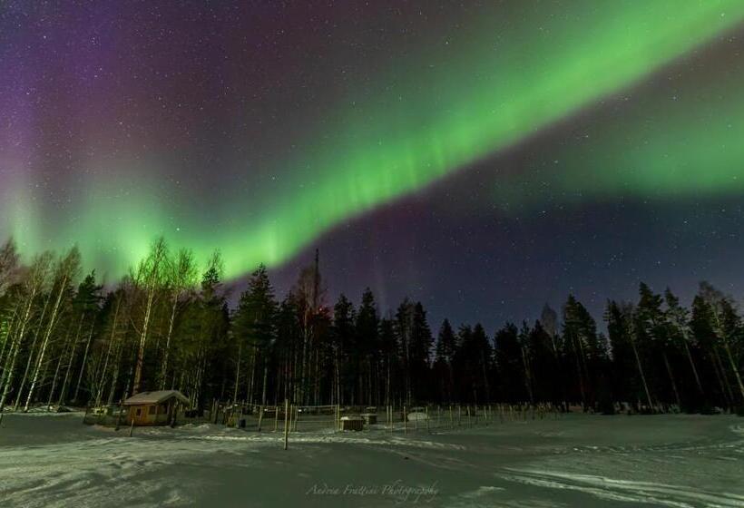 리조트 Old Pine Husky Lodge