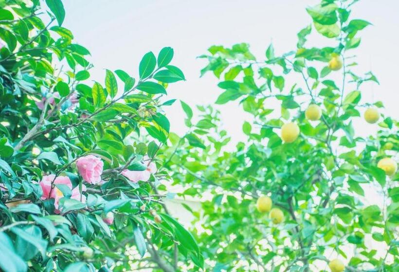 فندق صغير おとまち 甘藍 Otomachi Kanran