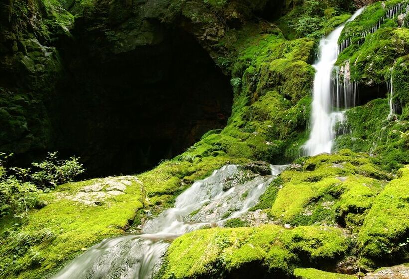 Bluemoon Guest House   Hostel