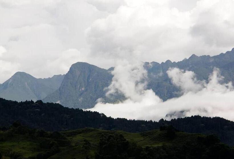 ユースホステル Glamping Rustiko