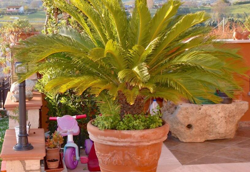 住宿加早餐  Da Zia Piera