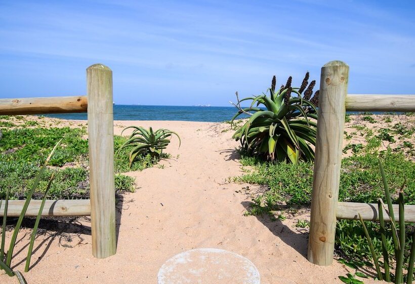 Bed and Breakfast North Star Micro