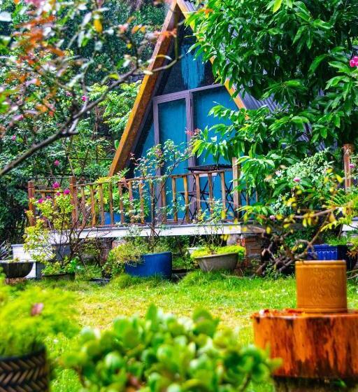 هتل Blue Lagoon Cat Ba