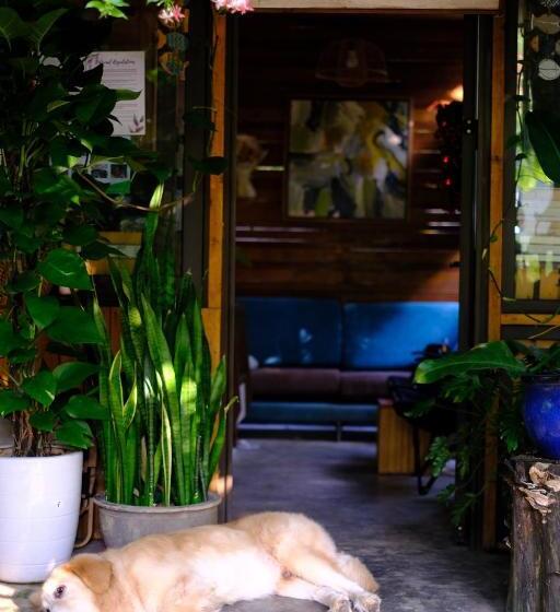 هتل Blue Lagoon Cat Ba