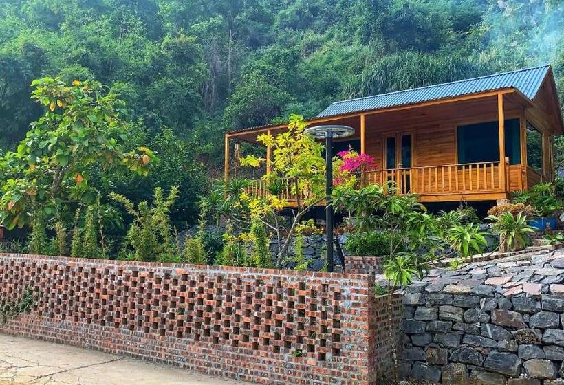 هتل Blue Lagoon Cat Ba