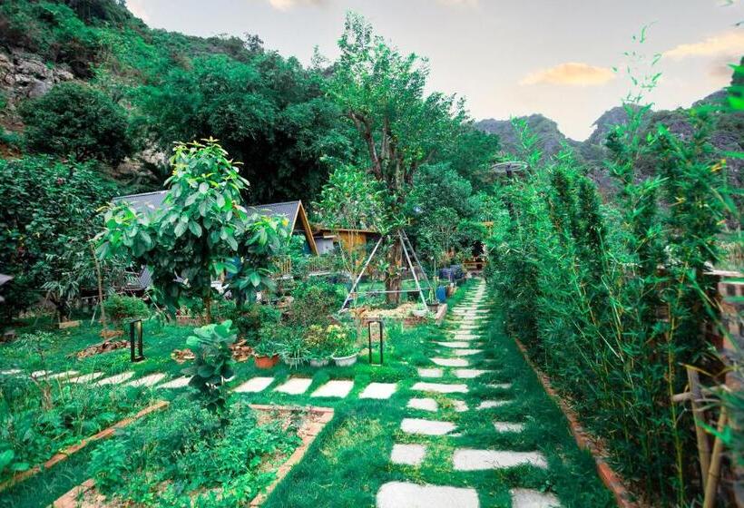 هتل Blue Lagoon Cat Ba