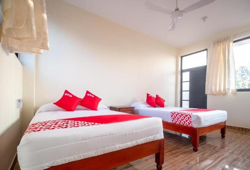 בית מלון כפרי D Leon