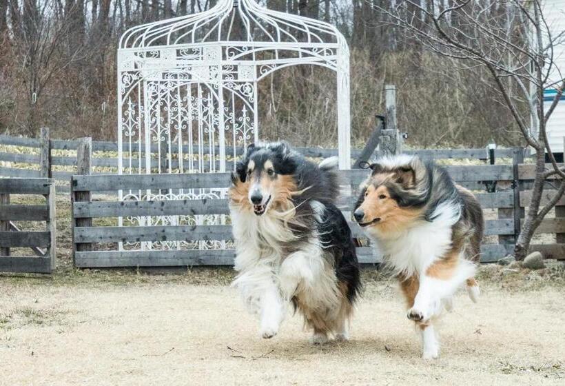 هتل Tabist Kiyosato Grandeur Yatsugatake