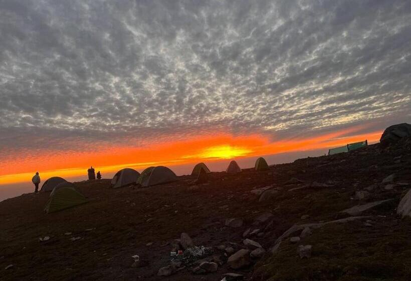 فندق Triund Trek And Camping