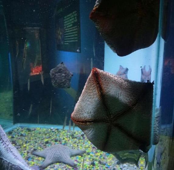 호텔 Yitel Collection (penglai City Hall Penglai Pavilion Scenic Area )