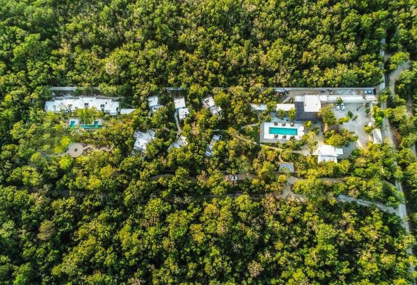 Jungle Lodge Boutique Hotel   Adults Only