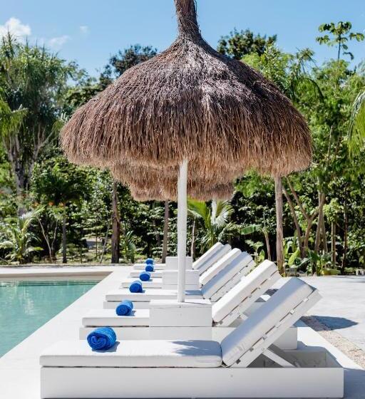 Jungle Lodge Boutique Hotel   Adults Only