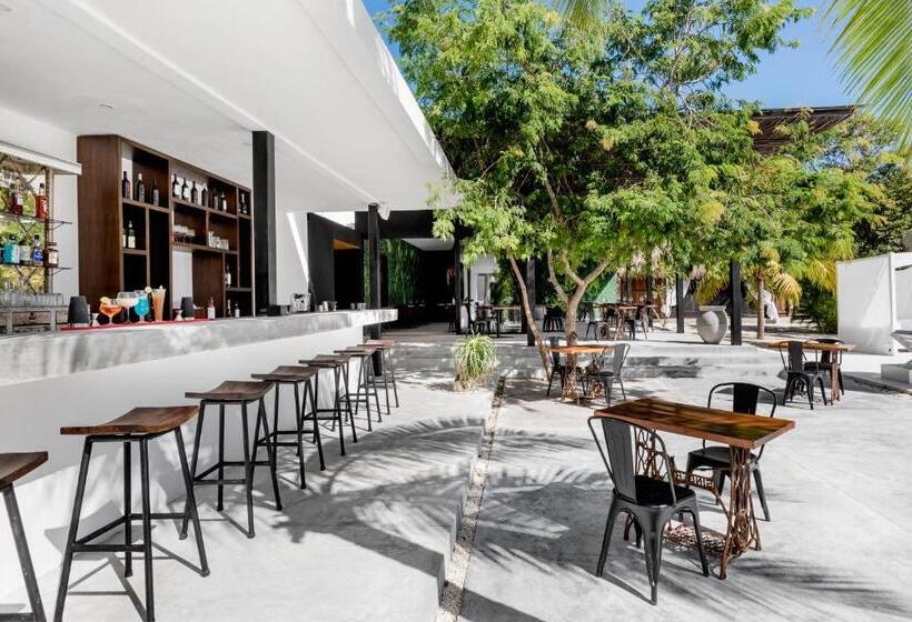 Jungle Lodge Boutique Hotel   Adults Only