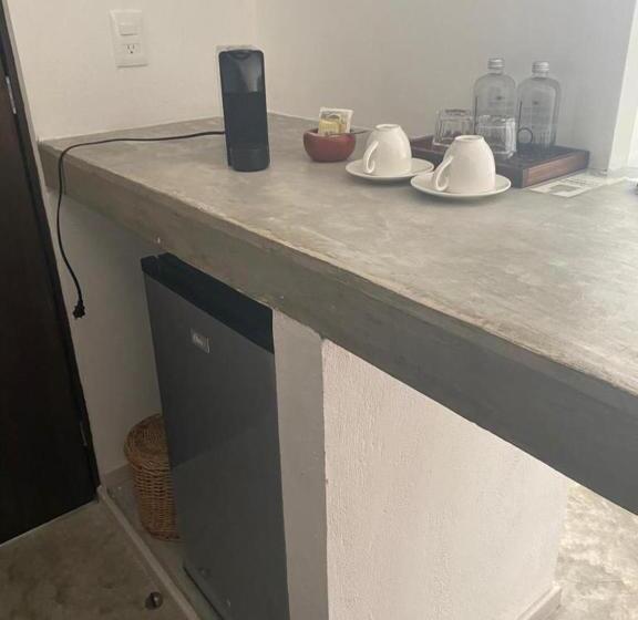 Jungle Lodge Boutique Hotel   Adults Only