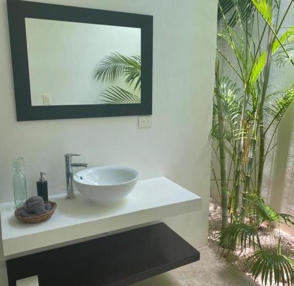 Jungle Lodge Boutique Hotel   Adults Only