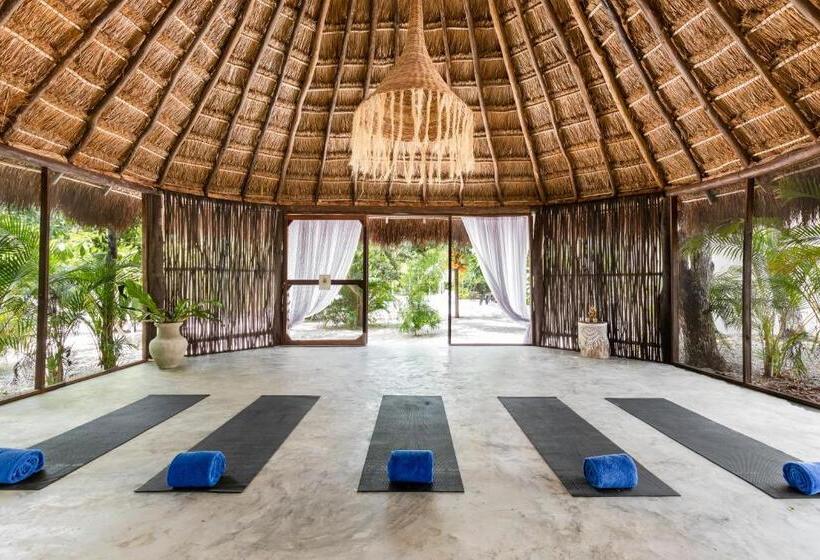 Jungle Lodge Boutique Hotel   Adults Only