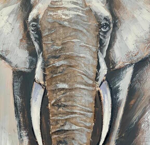 بنسيون Coccoa Boutique