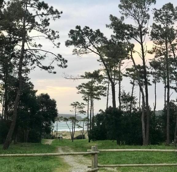 بنسيون Coccoa Boutique