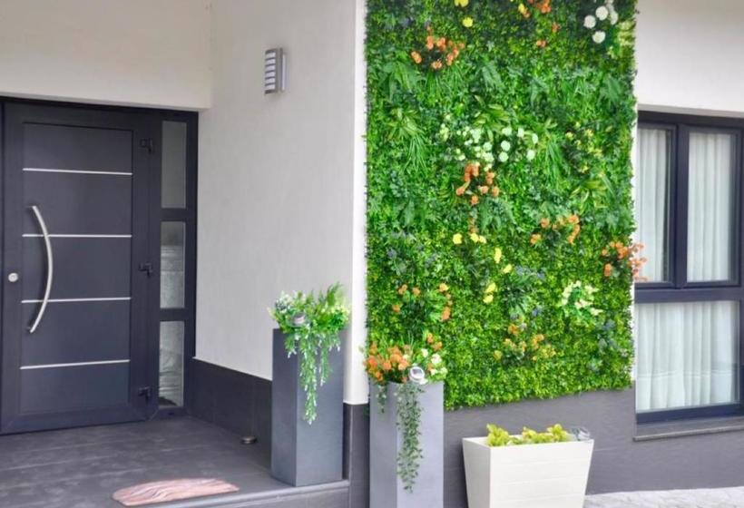 بنسيون Coccoa Boutique