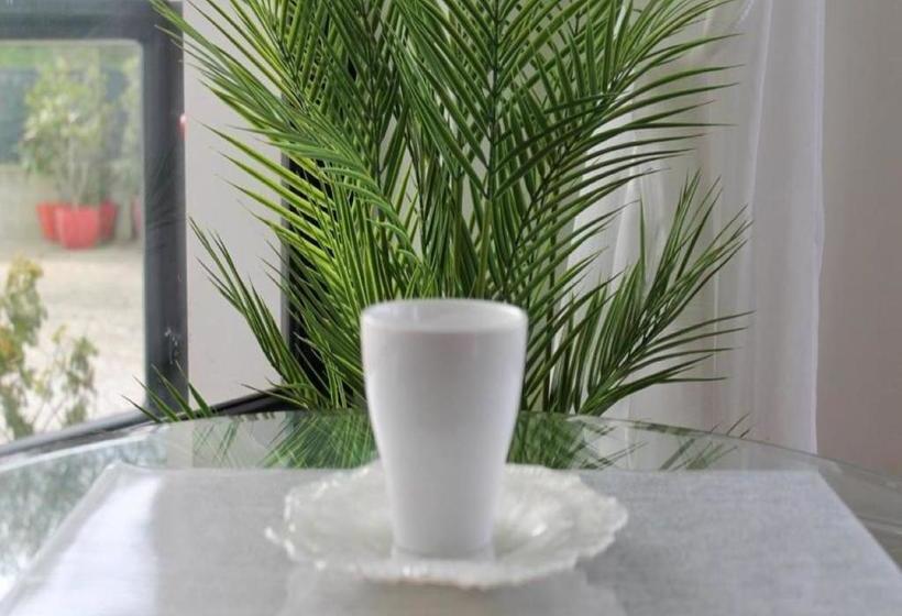 بنسيون Coccoa Boutique