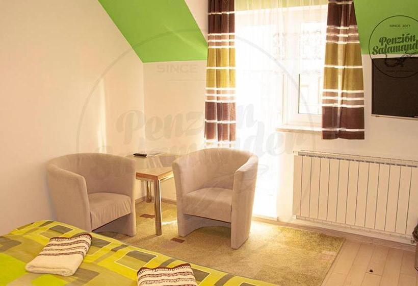 Пансион Penzion Salamander