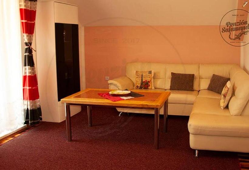 Пансион Penzion Salamander