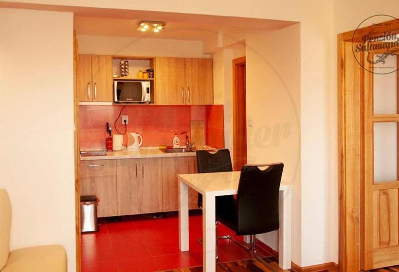 Пансион Penzion Salamander