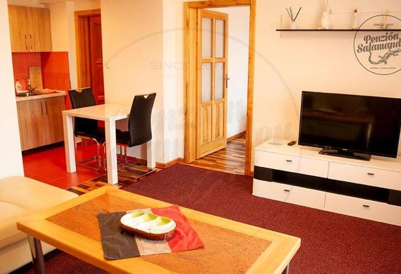 Пансион Penzion Salamander