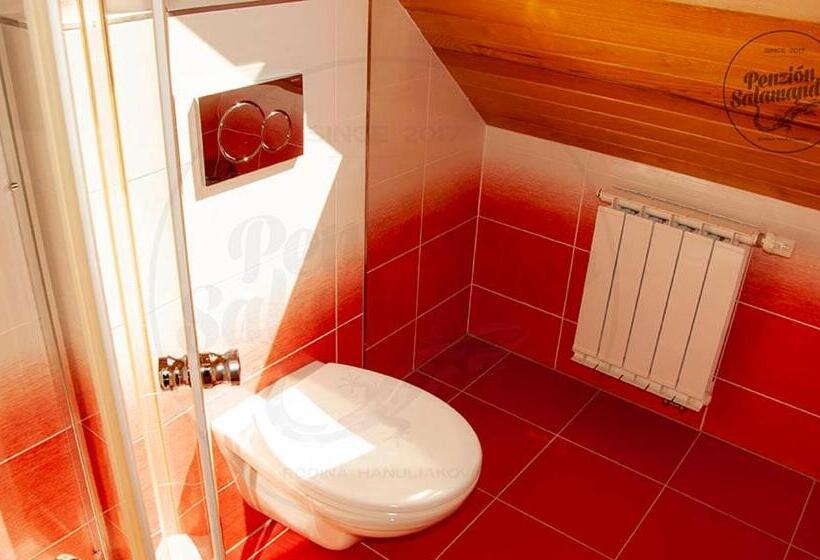 Пансион Penzion Salamander